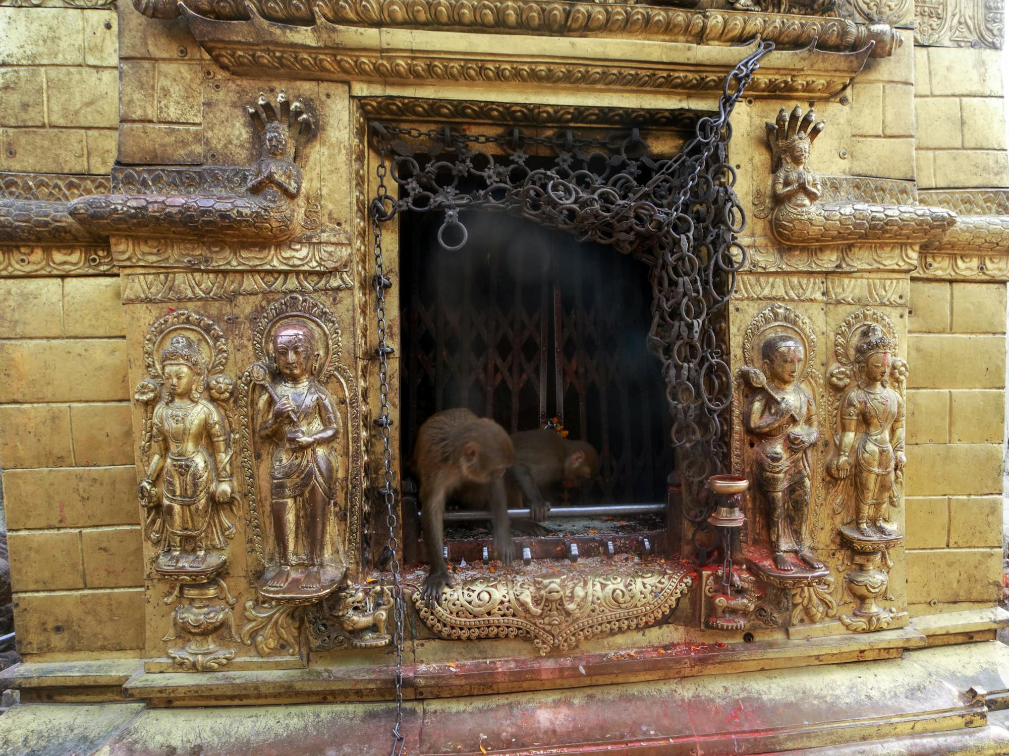 Indian Temple Photo by Mehmet Turgut  Kirkgoz  from Pexels: https://www.pexels.com/photo/monkeys-in-cavern-of-ancient-temple-facade-11793797/