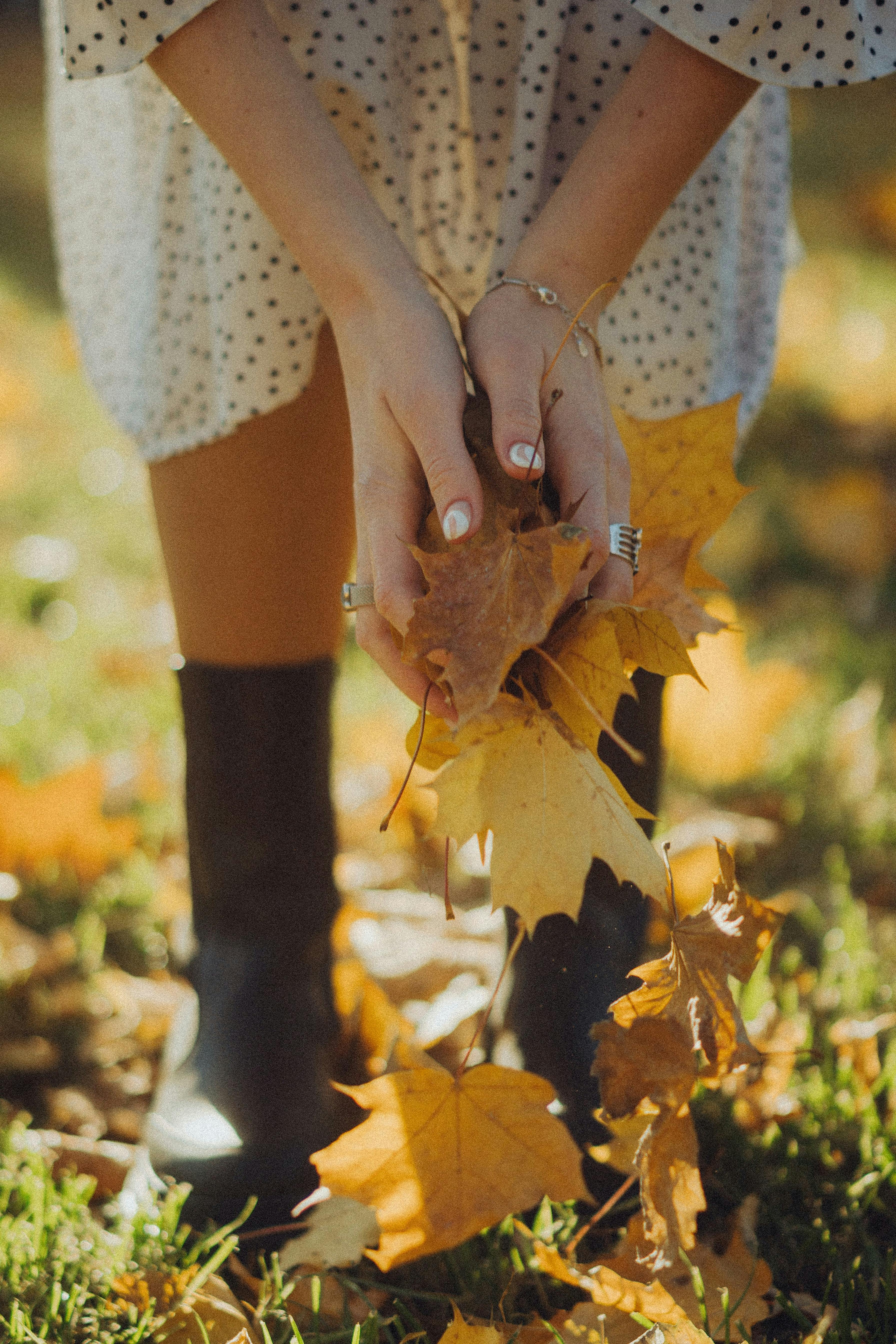 A woman holding yellow autumn leaves outdoors in Kyiv, Ukraine, capturing a serene fall moment.