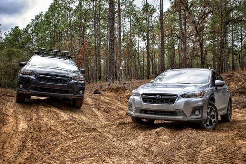 Free Two Subaru SUVs navigating a muddy forest trail, showcasing off-road capability. Stock Photo