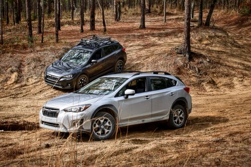 Free Two SUVs navigate rough terrain in a dense forest setting, showcasing off-road capabilities. Stock Photo