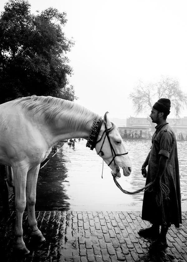 Black and White Photo of a Man and his Horse near Body of Water