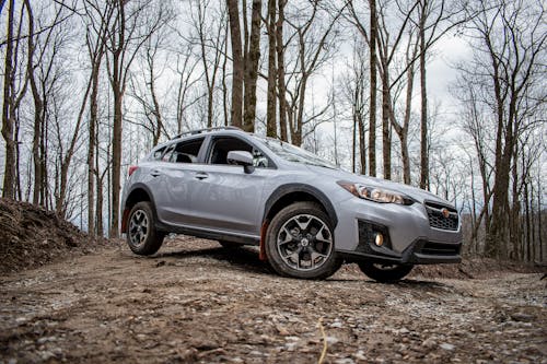 Silver Subaru Vehicle on Off Road