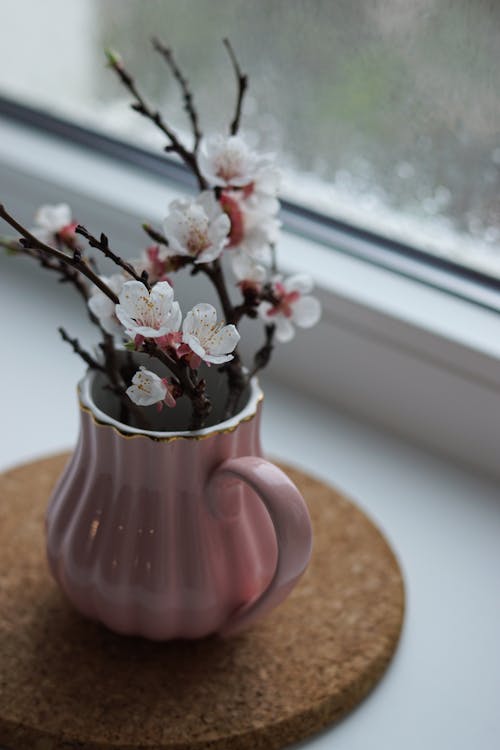 White Apricot Flowers in a Pink Mug on a Window Sill