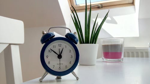 Reloj Despertador Azul Redondo Con Campana En Mesa Blanca Cerca De La Planta De Serpientes