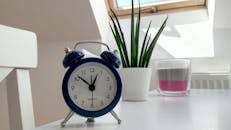 Round Blue Alarm Clock With Bell on White Table Near Snake Plant