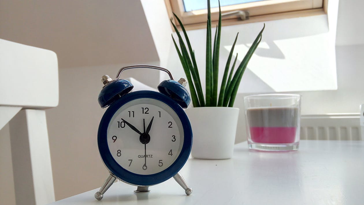 Relógio azul com despertador aparece em mesa ao lado de planta, durante um dia de sol. 