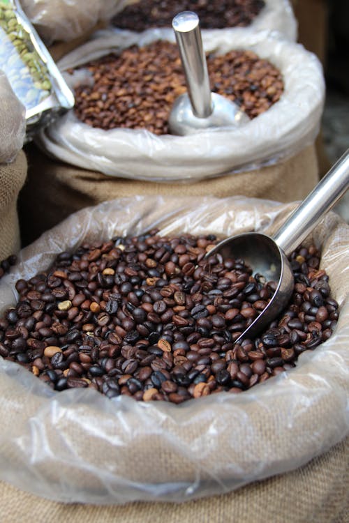 Brown Coffee Beans on a Sack 