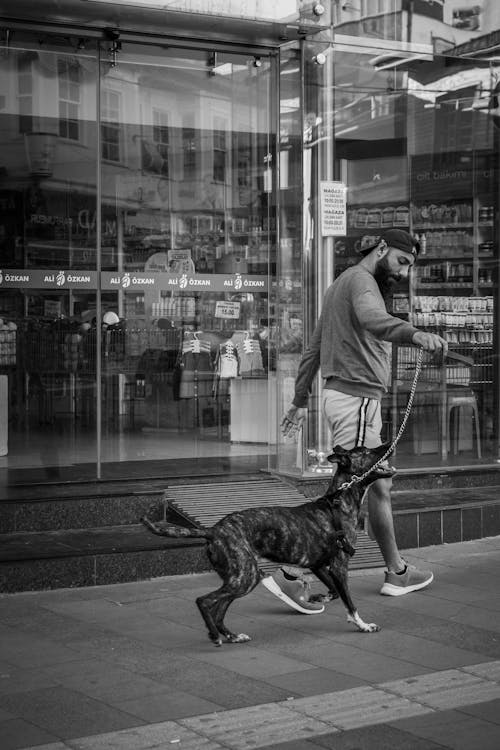 Black and White Photo of a Man Walking with a Dog