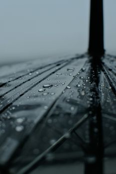 Detailed shot of raindrops on an umbrella surface, capturing the essence of rainy weather.