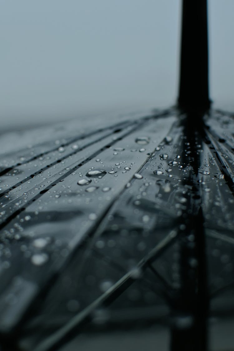 Rain Droplets On Umbrella