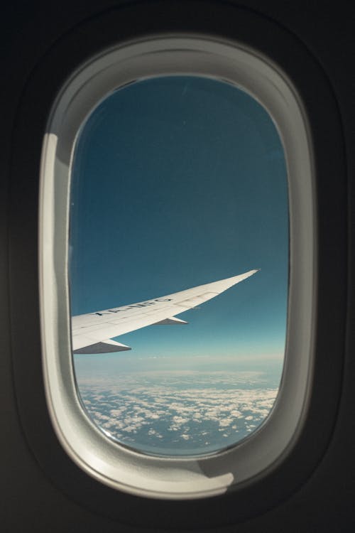 Photo of an Aircraft Wing · Free Stock Photo
