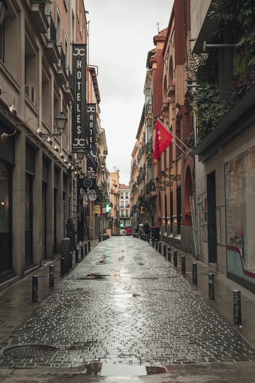 Narrow Cobblestone Alley Between Buildings