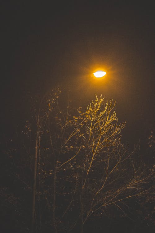 Free stock photo of at night