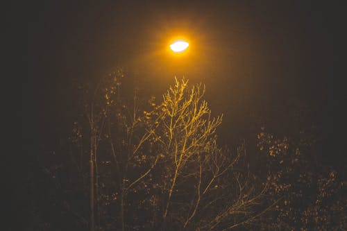 Free stock photo of city at night