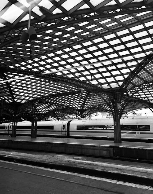 Grayscale Photo of a Train Station