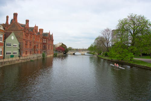 Foto d'estoc gratuïta de Anglaterra, arbres, bedford