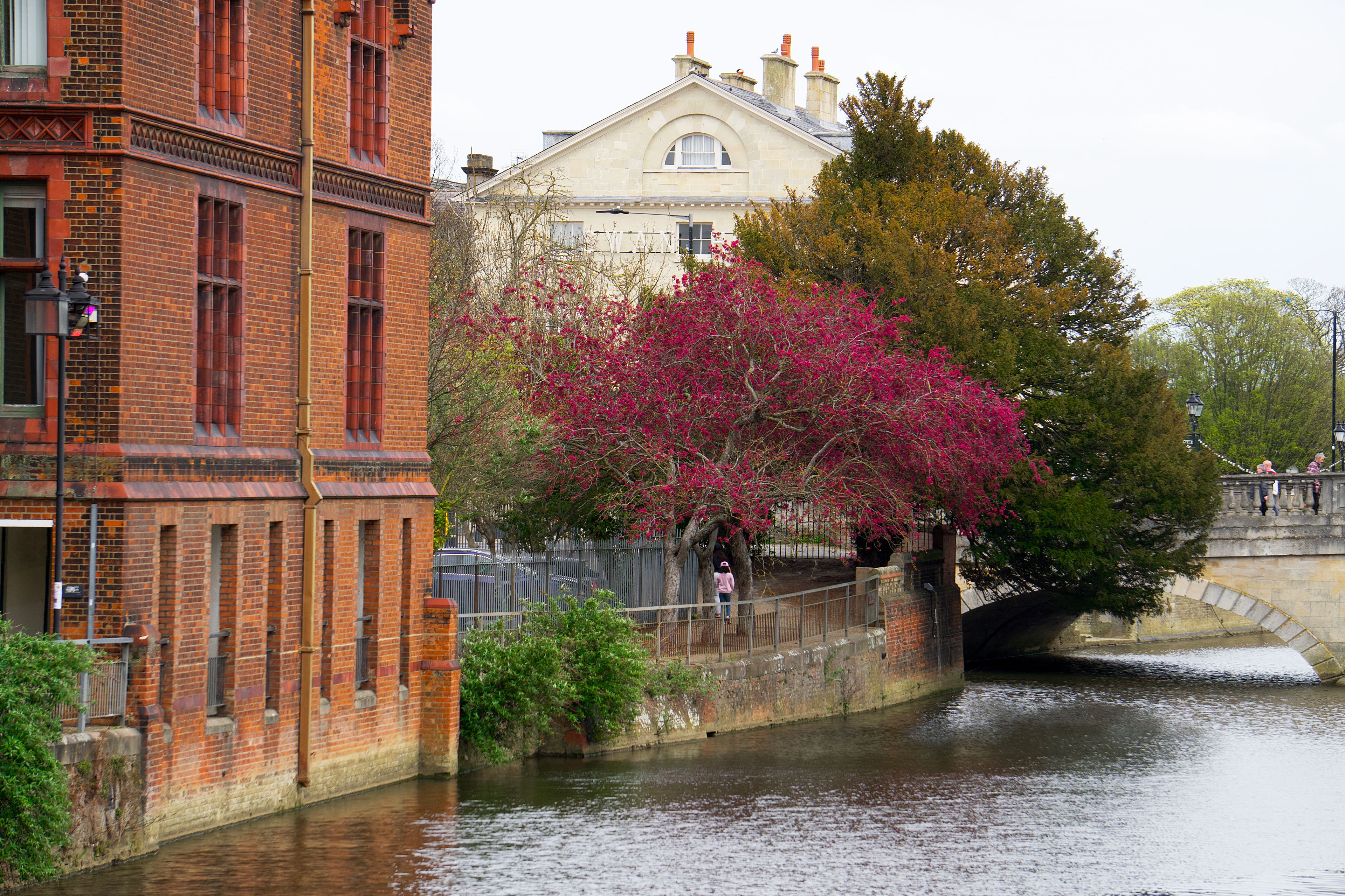 Chauffeur Hire in Cambridge — luxury chauffeur travel