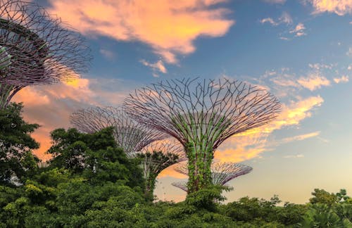 Free  Gardens Bay Nature Park Singapore Stock Photo