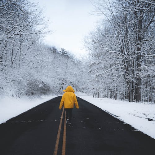 Person in Yellow Jacket Walking on Road Between Snow Covered Trees 