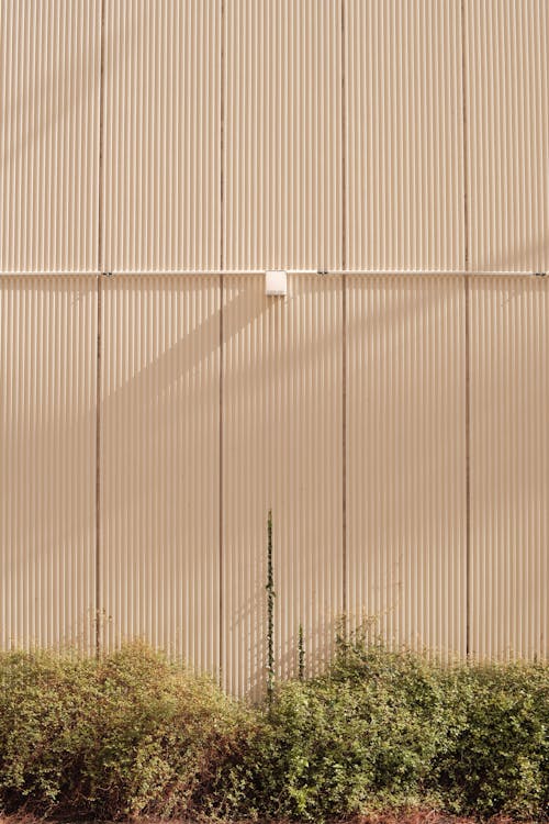 Beige Color of A Building Wall