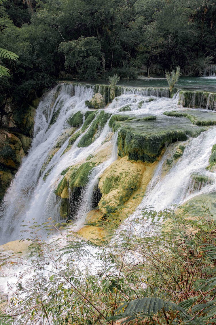 Cascada Huasteca Potosina