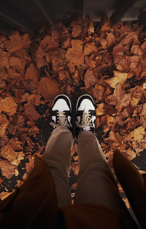 Person in Black and White Shoes Standing on Dry  Leaves 
