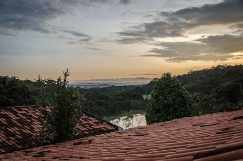 Kostnadsfri bild av apelsin, bondgård, himmel