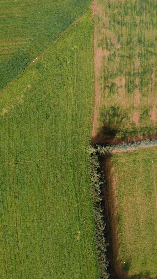 arazi, drone çekimi, ekili arazi içeren Ücretsiz stok fotoğraf
