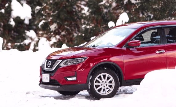 
A Parked Red Nissan Rogue during Winter