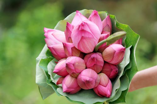 Bouquet Di Fiori Rosa Petalo