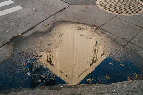 Základová fotografie zdarma na téma dlažba, kaluž, odraz