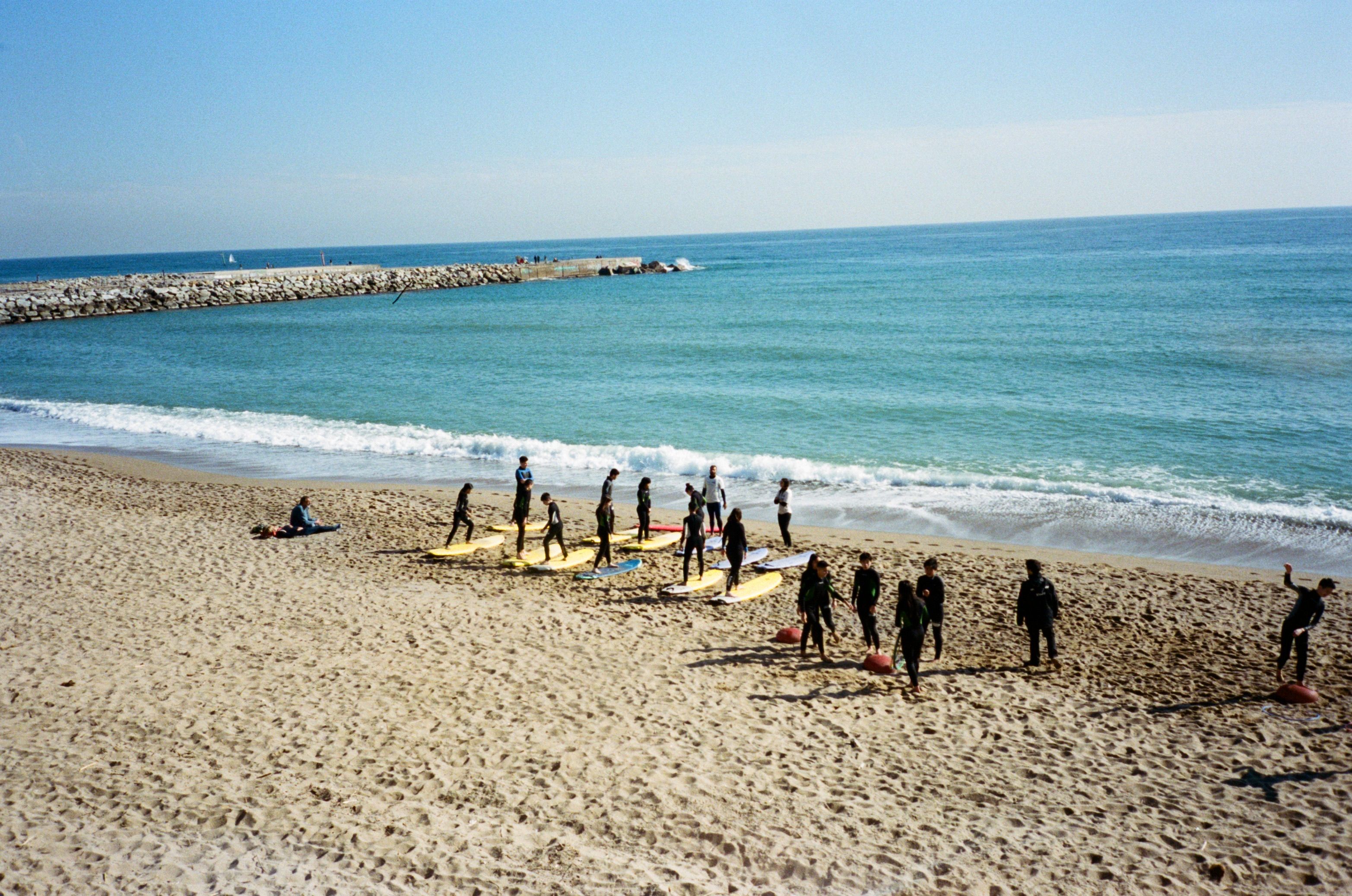 A group of surfers in wetsuits practicing on surfboards at a sunny beach.