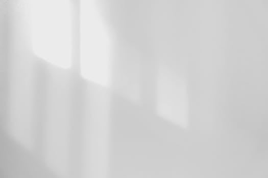 Soft shadows cast on a minimalist white wall create a serene and abstract composition.