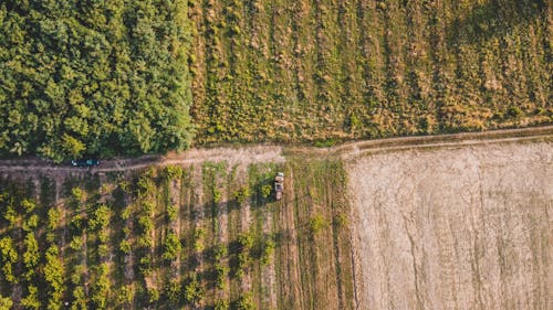 An Aerial Shot of an Agricultural Field