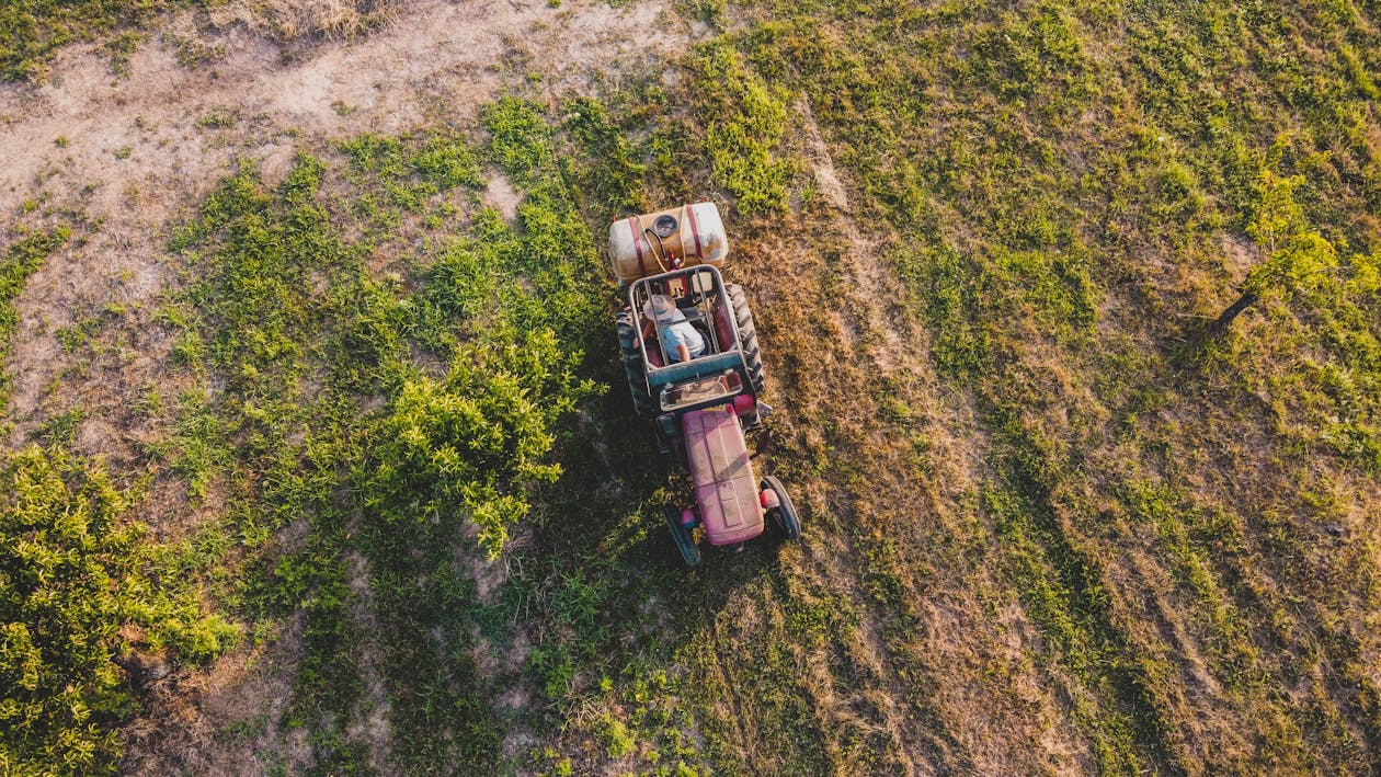 Ingyenes stockfotó farmer, földművelés, Gazda témában