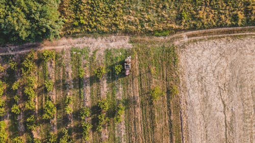 Darmowe zdjęcie z galerii z ciągnik, drzewa, fotografia lotnicza