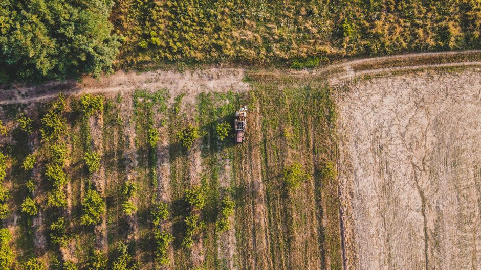 Fenomen meteo alarmant amenință culturile agricole din România