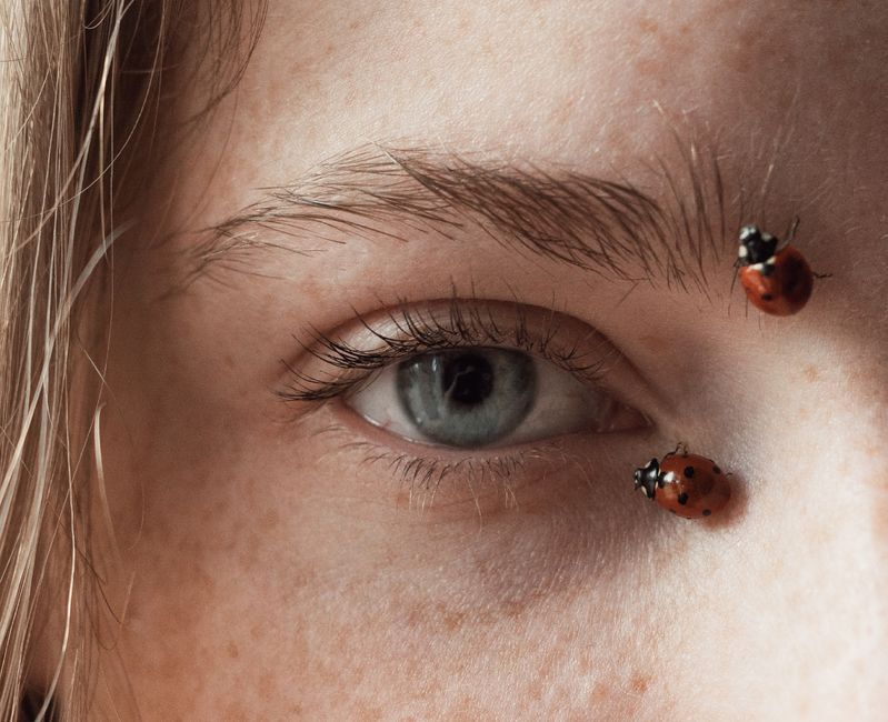Close-up shot of an eye with ladybugs on the eyebrow, showcasing natural beauty and detail.