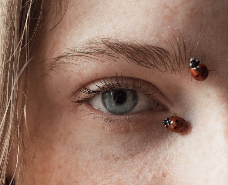 Close Up Of Ladybugs Around Womans Eye