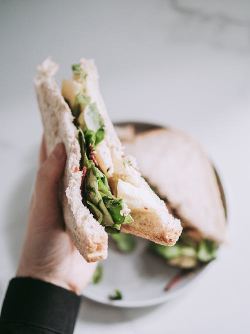 Kostenloses Stock Foto zu belegtes brot, essen, festhalten