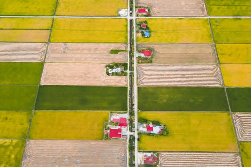 农业用地, 無人空拍機, 航空攝影 的 免费素材图片