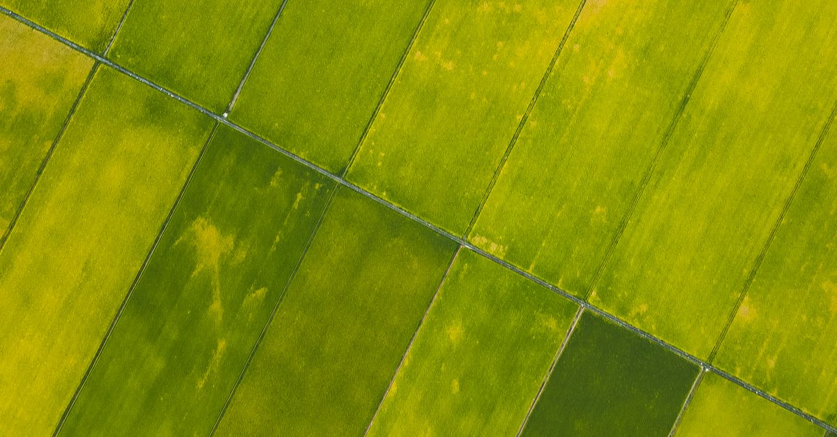 FarmTech: AI and Data Infrastructure to Transform Rural Healthcare
