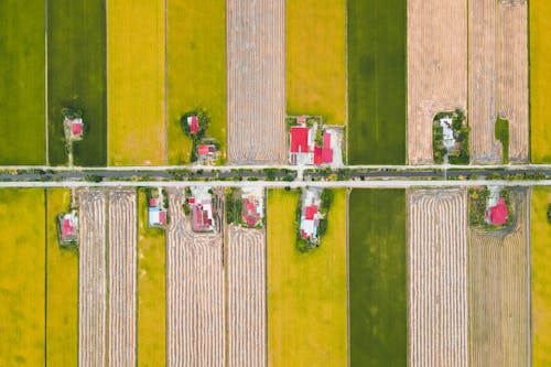 Aerial Shot of Narrow Road Between Cropland