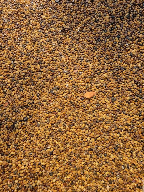 Free Brown and Black Stones on Ground Stock Photo