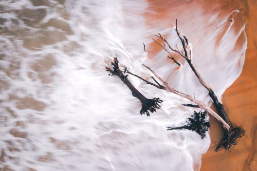 Free Captivating aerial view capturing ocean waves crashing over driftwood on the shore. Stock Photo