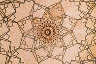 Brown and White Floral Textile