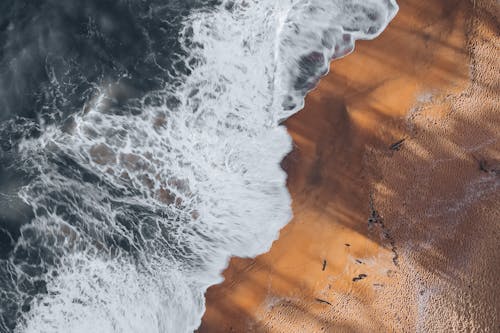 Ocean Waves Crashing on Shore 