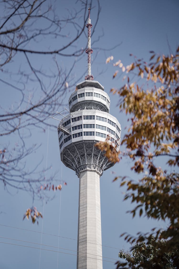 The Daegu 83 Tower In South Korea