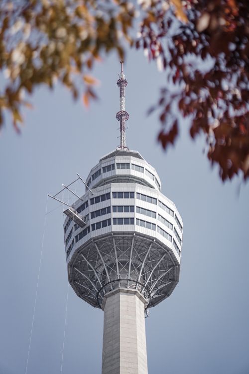 Free E-World 83 Tower standing tall against clear blue skies, framed by autumn leaves in Daegu, South Korea. Stock Photo