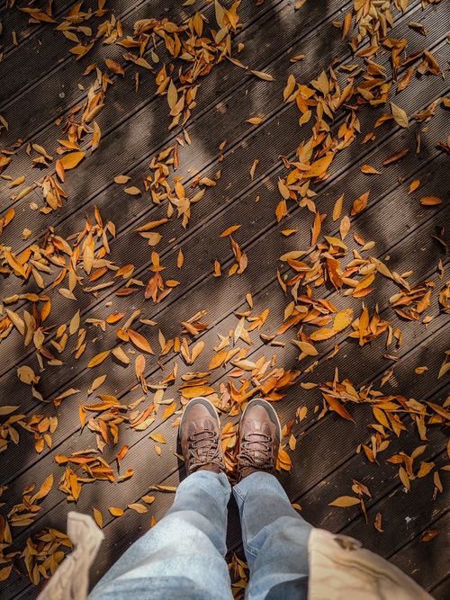 Free Brown shoes on a wooden path covered with orange autumn leaves in South Korea. Stock Photo
